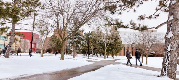 students walking along campus walkway